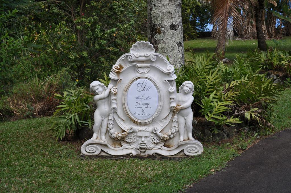 The Palms Cliff House Inn Honomu ภายนอก รูปภาพ