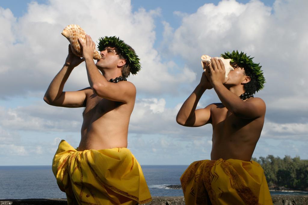 The Palms Cliff House Inn Honomu ภายนอก รูปภาพ